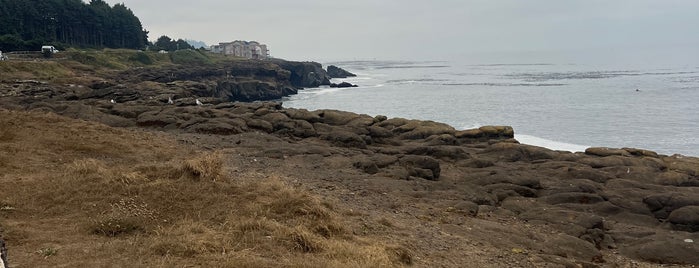 Boiler Bay State Wayside is one of Orte, die Martin L. gefallen.