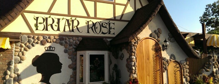 Briar Rose Bakery & Deli is one of XNA Deserts in the 'Zarks.