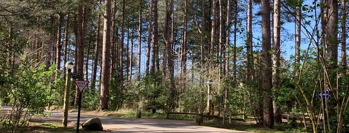 Center Parcs is one of Fiskerton.