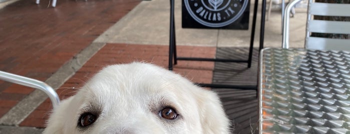 State Street Coffee is one of Texas - The Lone Star State.