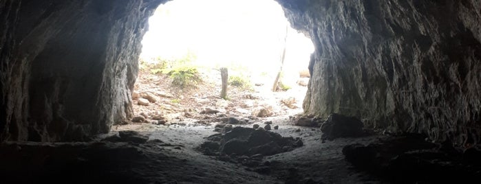Юрьевская пещера is one of Планы, планы.