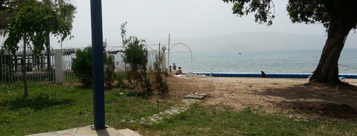 Holiday Resort Beach is one of Murat'ın Beğendiği Mekanlar.