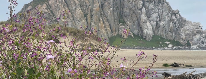 Morro Rock State Natural Preserve (Morro Rock) is one of Central Coast.