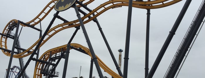 Batman: The Ride is one of Roller Coaster Mania.