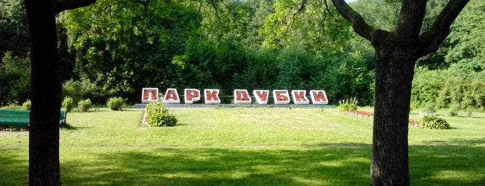 Dubki Park is one of Сестрорецк.
