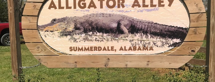 Alligator Alley is one of Gulf Shores, AL.