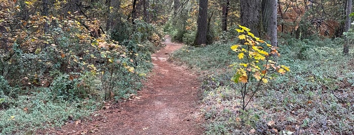 Empire Mine State Historic Park is one of So You're In Auburn, CA....