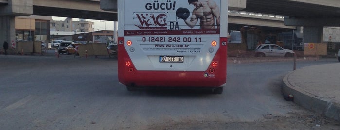 WAC World Athletic Club is one of Locais curtidos por Aslıhan.