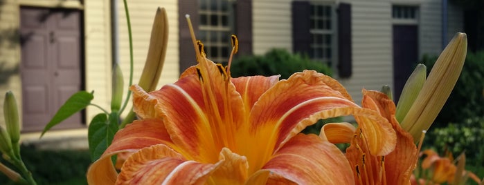 Blount Mansion is one of Tour Knoxville's Historic Homes.