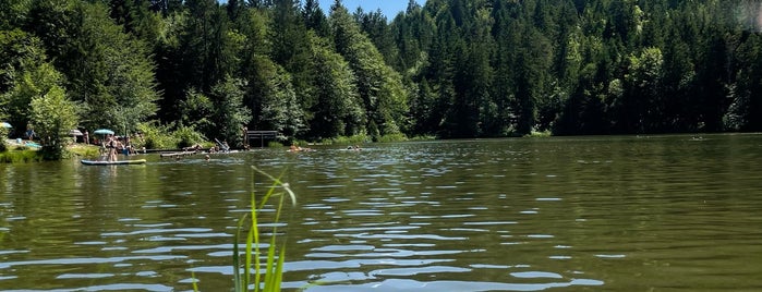 Pflegersee is one of garmish.