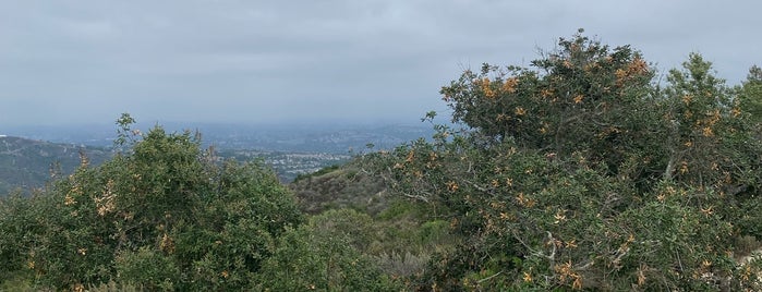 Top of the World Park is one of Hiking - LA - South Bay - OC - etc..