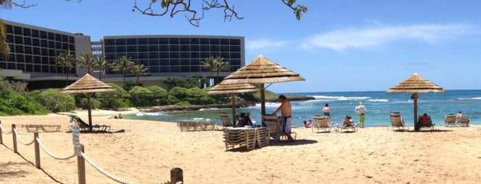 Turtle Bay Resort is one of Waikiki / Oahu Hawaii.