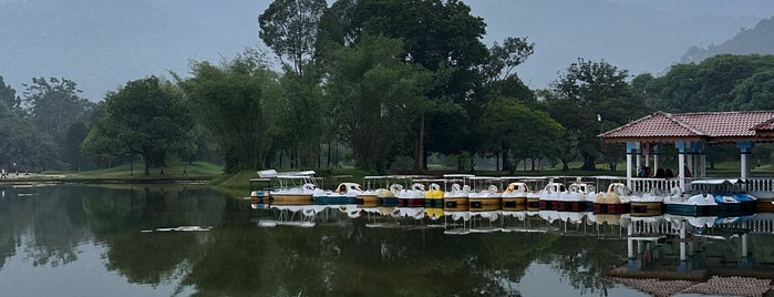 Taman Tasik Taiping (Lake Garden) is one of Fun element @ipoh.