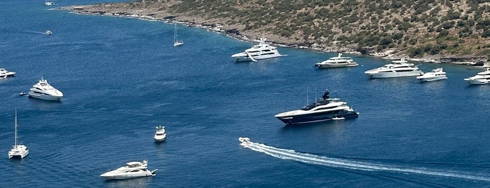 Blue Marlin Ibiza Bodrum is one of Bodrum Plaj.