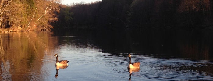 Tarrywile Park and Mansion is one of Candlewood Lake.