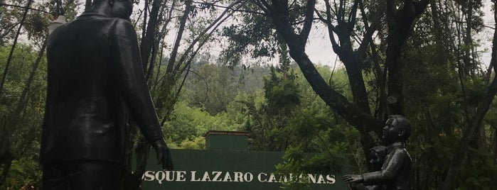 Bosque Lázaro Cárdenas is one of Morelia.