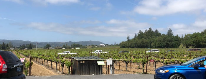 Mauritson Family Winery is one of Sonoma County.