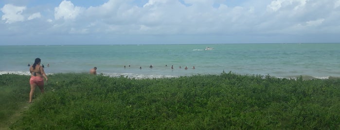 Praia Formosa is one of Paraiba Top places.
