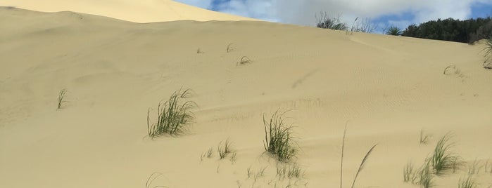 Te Paki Giant Sand Dunes is one of NZ2.