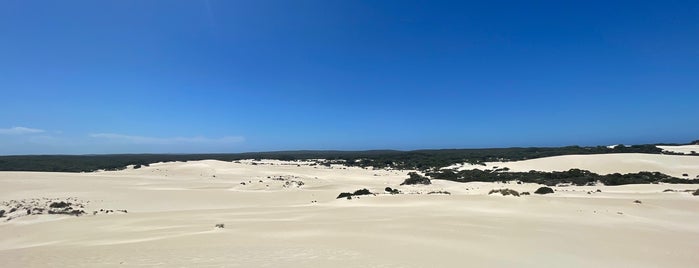 Little Sahara is one of australia.