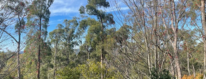 Mount Lofty Botanic Garden is one of Tempat yang Disimpan Ruth.
