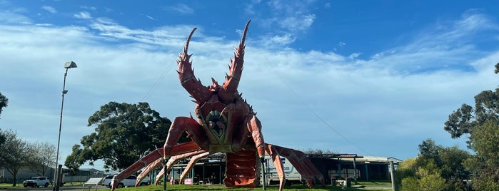 The Big Lobster is one of Look out.