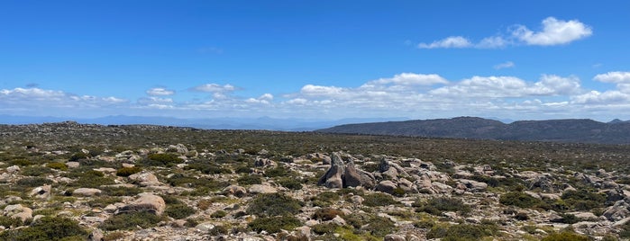 Mount Wellington is one of Febrinaさんのお気に入りスポット.
