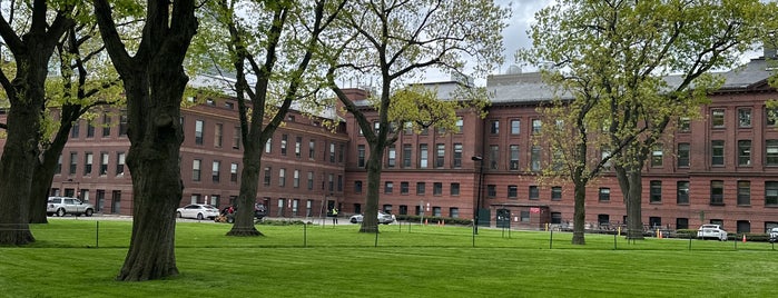 Harvard Law School Library is one of Favorite Boston/Cambridge.