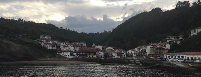 La Tortuga is one of Asturies.