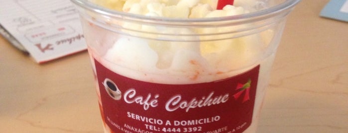 Café Copihue is one of Locais salvos de Miguel Angel.