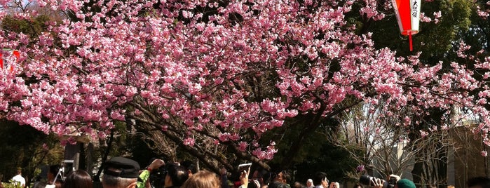 Ueno Park is one of Japan.