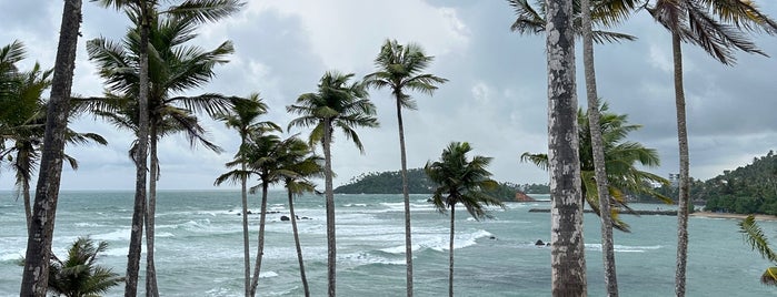 Mirissa Coconut Tree Hill is one of Sri Lanca.