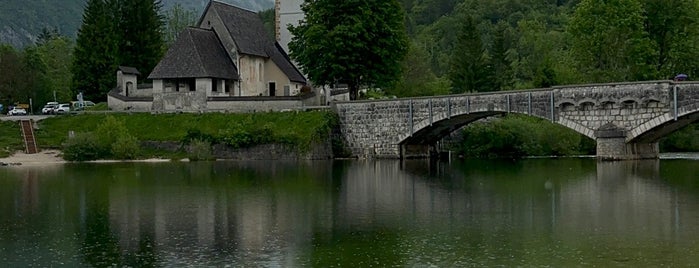 Bohinjsko jezero is one of Slovenia - Ljubljana TIPS.