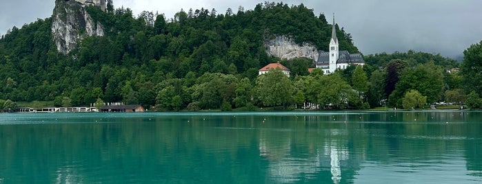 Blejski Otok (Bled Island) is one of Eslovenia.