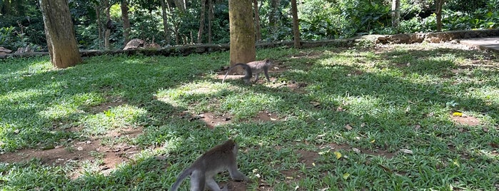 Pura Dalem Monkey Forest is one of Bali.
