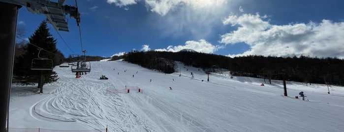 白樺高原国際スキー場 is one of 長野県内のスキー場.