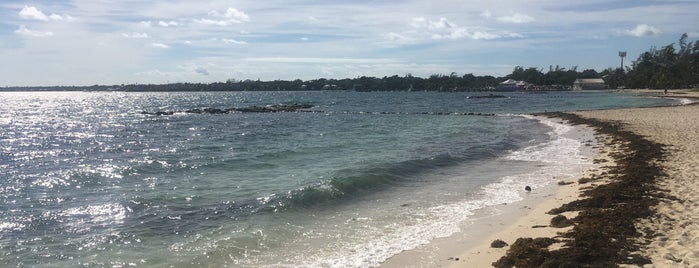 Montagu Beach is one of Carribean blue.