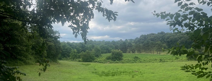 İl Ormanı Tabiat Parkı is one of Lieux qui ont plu à Rıdvan.