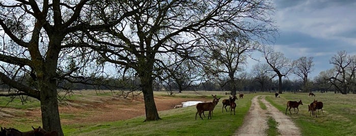 Moon River Ranch is one of Lieux qui ont plu à KC.