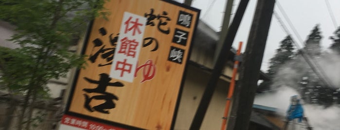 鳴子ラドン温泉 is one of 杜の都.