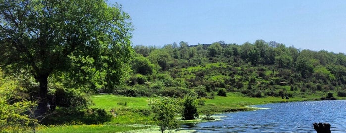 Kemerburgaz Piknik Alanı is one of Tempat yang Disimpan Mujdat.