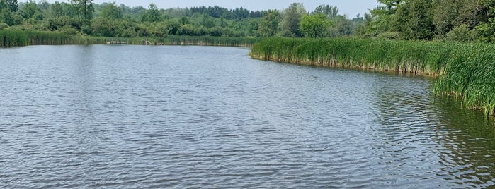 Laurel Creek Conservation Area is one of Foodie Love in Waterloo.