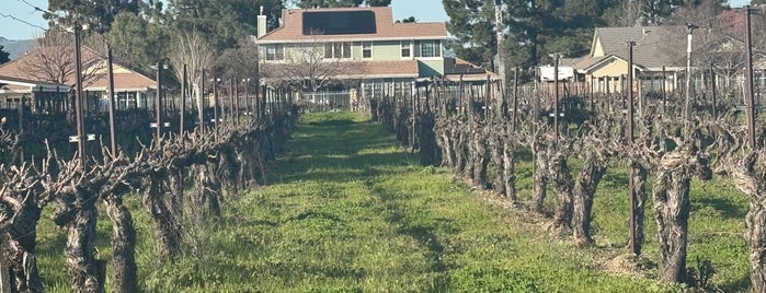 Retzlaff Vineyards is one of Winery’s.