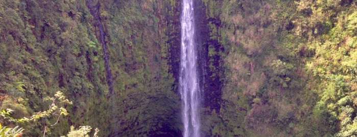 Akaka Falls State Park is one of Lieux qui ont plu à Brian.