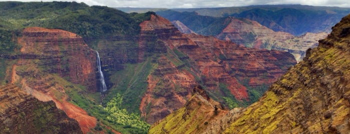 Waimea Canyon & Koke'e State Park is one of Brianさんのお気に入りスポット.