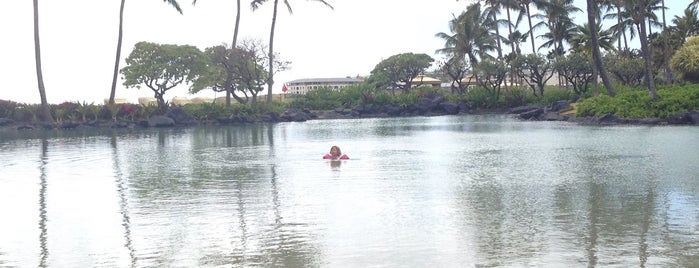 Grand Hyatt Kauai Salt Water Lagoon is one of Tempat yang Disukai Brian.