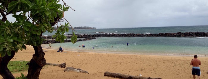 Lydgate Beach is one of Brianさんのお気に入りスポット.