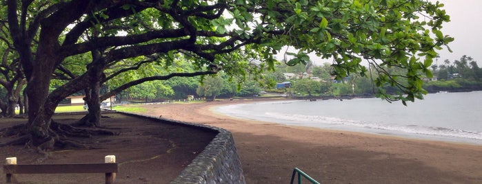 Hana Beach Park is one of Lugares favoritos de Brian.