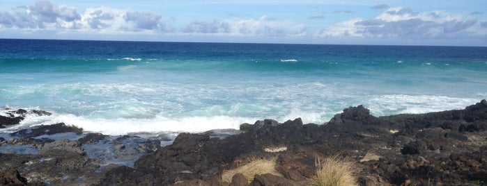 Manini'owali Beach is one of Brianさんのお気に入りスポット.