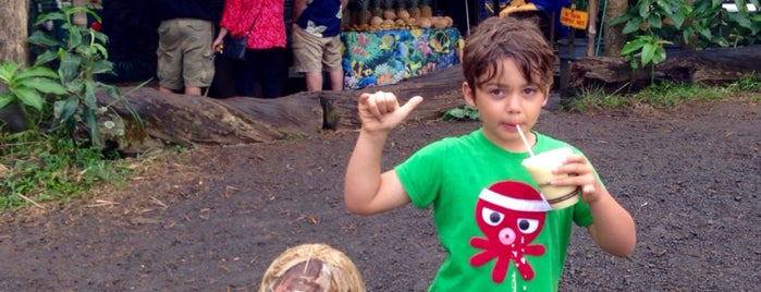 Twin Falls Farm Stand is one of Family Fun after a morning of snorkeling.